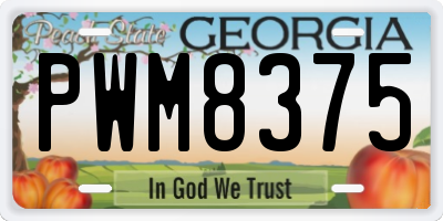 GA license plate PWM8375