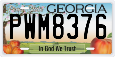 GA license plate PWM8376