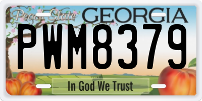 GA license plate PWM8379