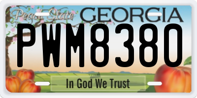 GA license plate PWM8380