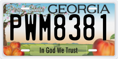 GA license plate PWM8381