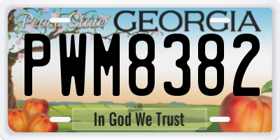 GA license plate PWM8382