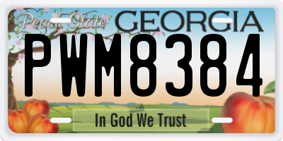 GA license plate PWM8384