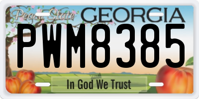 GA license plate PWM8385