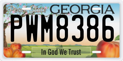 GA license plate PWM8386