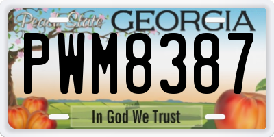 GA license plate PWM8387