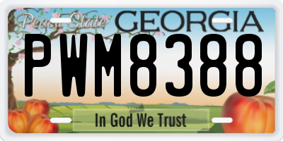 GA license plate PWM8388