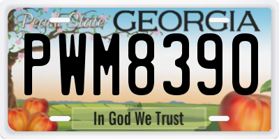 GA license plate PWM8390