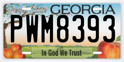 GA license plate PWM8393