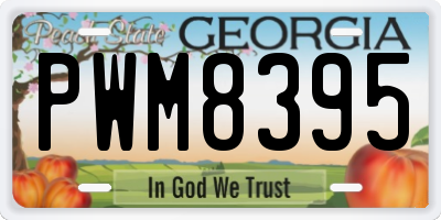 GA license plate PWM8395