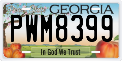 GA license plate PWM8399