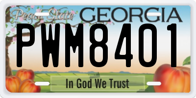 GA license plate PWM8401
