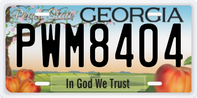GA license plate PWM8404