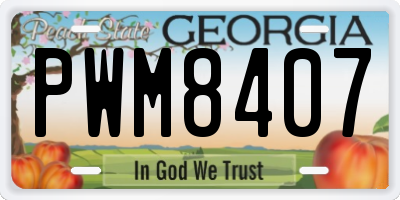 GA license plate PWM8407