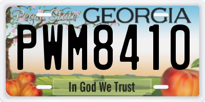 GA license plate PWM8410