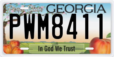 GA license plate PWM8411