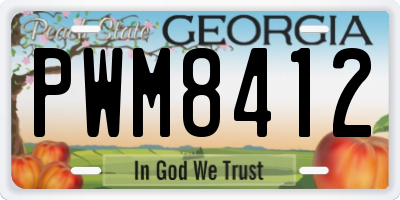 GA license plate PWM8412