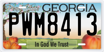 GA license plate PWM8413