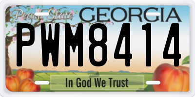 GA license plate PWM8414