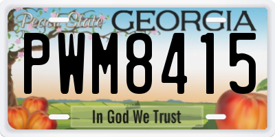 GA license plate PWM8415