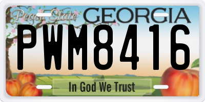 GA license plate PWM8416