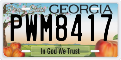 GA license plate PWM8417