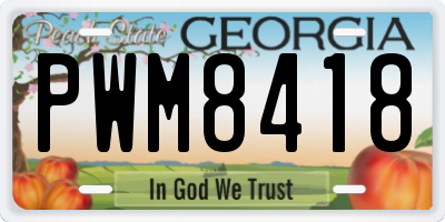 GA license plate PWM8418