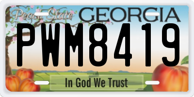 GA license plate PWM8419