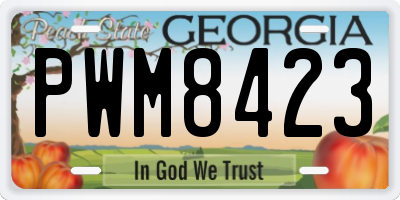 GA license plate PWM8423