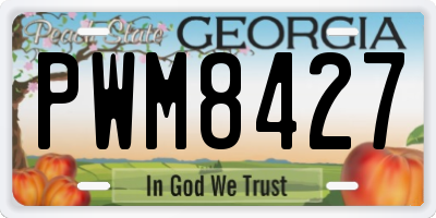 GA license plate PWM8427
