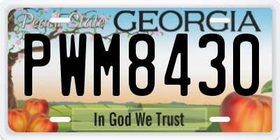 GA license plate PWM8430