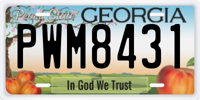 GA license plate PWM8431