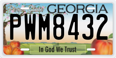 GA license plate PWM8432