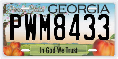 GA license plate PWM8433
