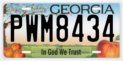 GA license plate PWM8434