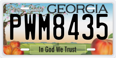 GA license plate PWM8435