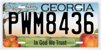 GA license plate PWM8436