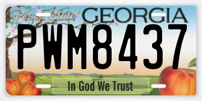 GA license plate PWM8437