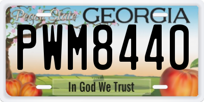 GA license plate PWM8440