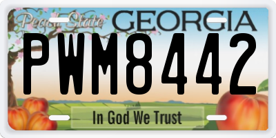 GA license plate PWM8442