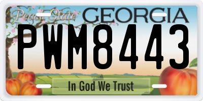 GA license plate PWM8443