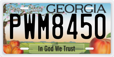GA license plate PWM8450