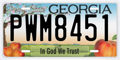 GA license plate PWM8451