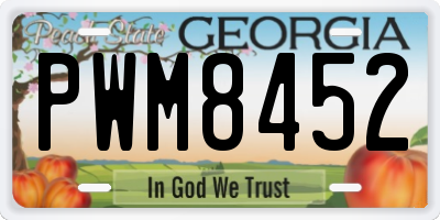 GA license plate PWM8452