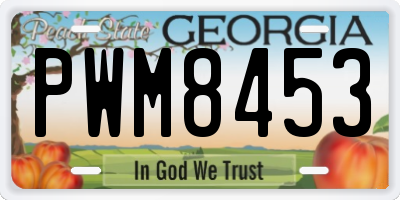 GA license plate PWM8453