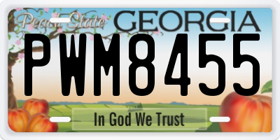 GA license plate PWM8455
