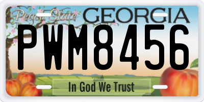 GA license plate PWM8456