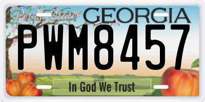 GA license plate PWM8457