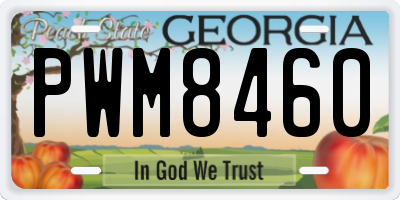 GA license plate PWM8460