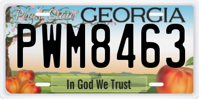 GA license plate PWM8463